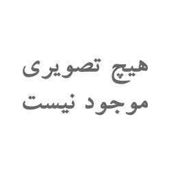 نیکومنش